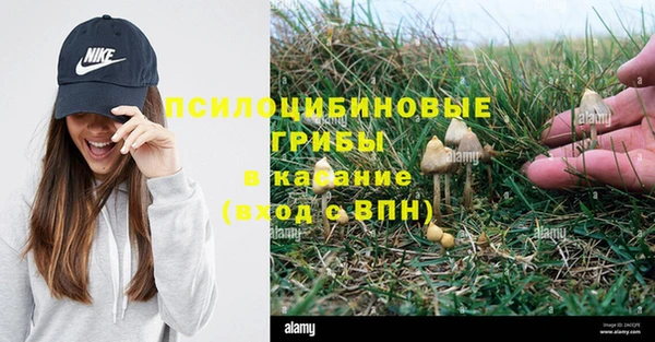 MDMA Алексеевка